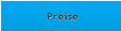 Preise Preise
